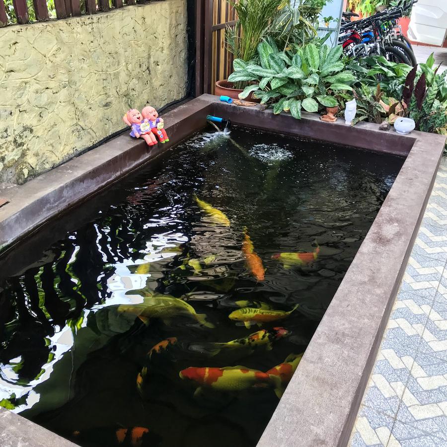 Vanvisa Guesthouse Luang Prabang Buitenkant foto